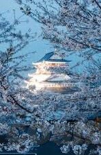 竞彩足球即时比分-竞彩足球即时比分，一场速度与激情的数字盛宴