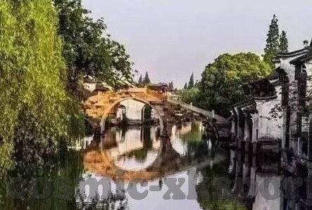 台湾足球世预赛比分-台湾足球世预赛比分背后的故事，拼搏与希望交织的征程