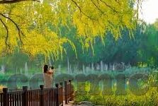 足球比分预测分析-足球比分预测的科学与艺术，数据与直觉的完美融合