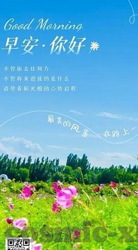 足球胜负比分-深度剖析，足球胜负比分的奥秘与预测艺术